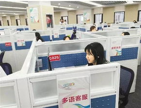 14個(gè)語(yǔ)種近300名翻譯 g20峰會(huì)多語(yǔ)服務(wù)平臺(tái)96020將上線